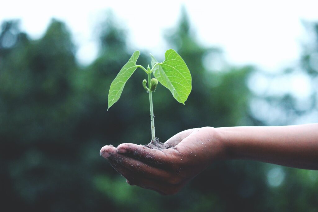 Life transitions counselling at FreeMind Therapy, Vancouver, BC 